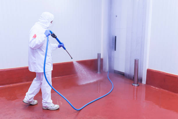 Professional Pressure Washing in University Heights, OH