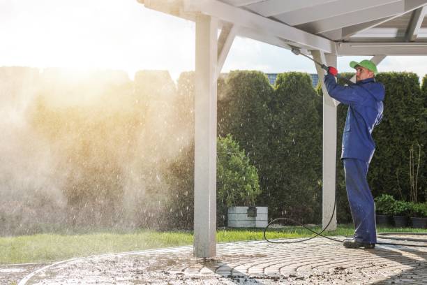 Pre-Holiday Cleaning in University Heights, OH
